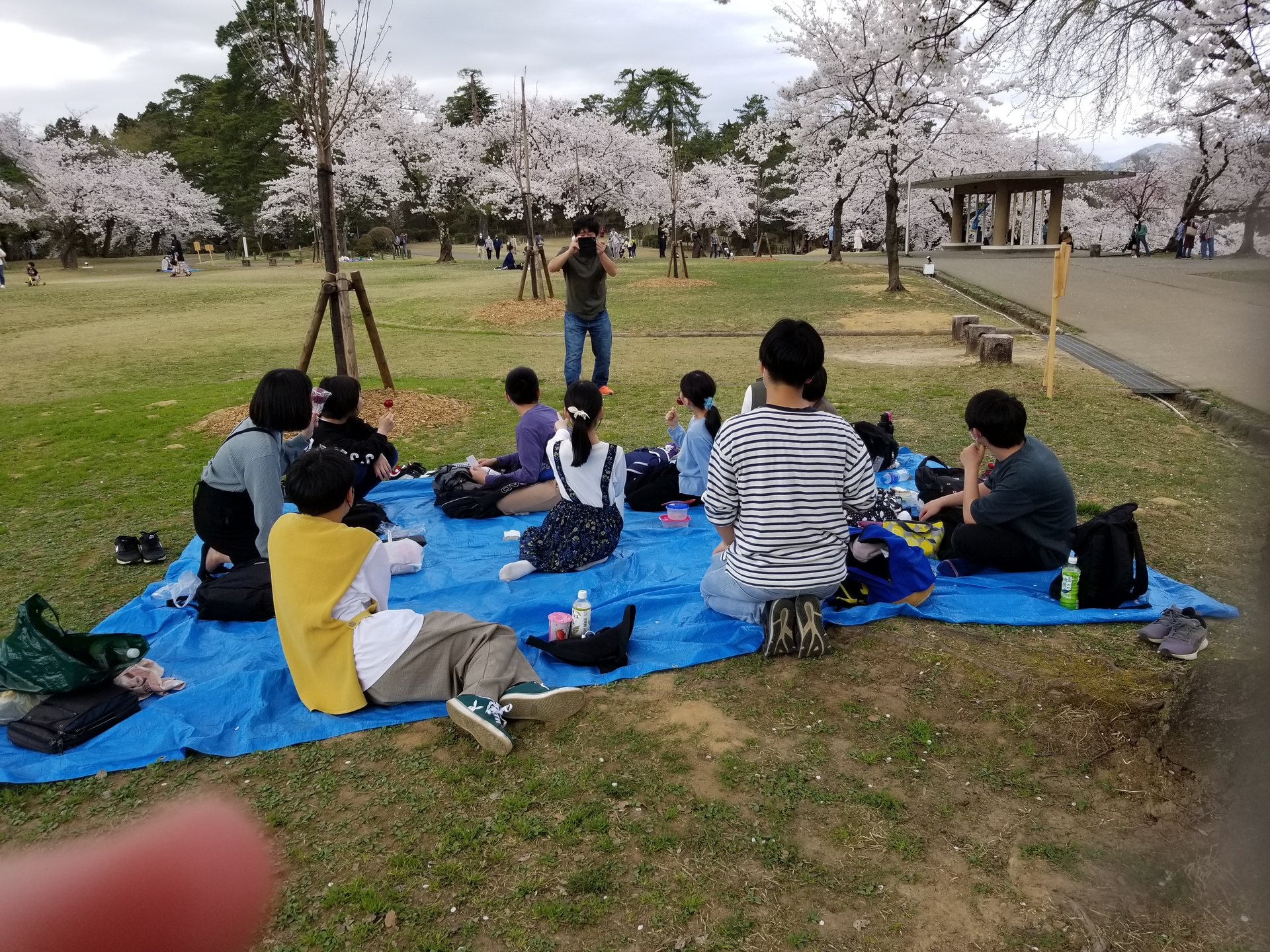 お花見に行きました。